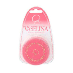 Imagen VASELINA GAL CAJA PEQUEÑA 13 ML (NOVALTIA)